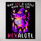 Poster Pourquoi Hex Un Peu Quand Vous Pouvez Hexalotl Wit (Devant)