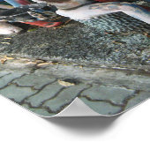 Poster Pourquoi la LANGUE ? ... 3 Gouls thaïlandais effra (Coin)