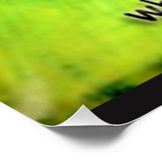 Poster Pourquoi la maladie de Lyme est-elle couverte Post (Coin)