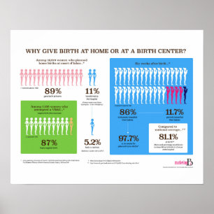Poster Pourquoi naissance à la maison Infographic 20" x