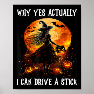 Poster Pourquoi Oui En Fait Je Peux Conduire Un Bâton Fem