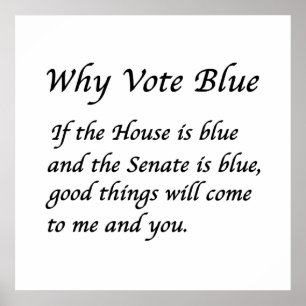 Poster Pourquoi voter bleu en 2024