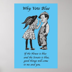 Poster Pourquoi voter bleu en 2026