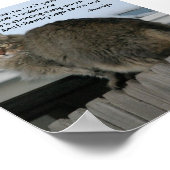 Poster Poursuivre la poursuite des rêves (Coin)