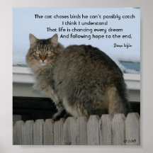 Poursuivre la poursuite des rêves