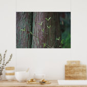 Poster pousses arborescentes et vertes (Cuisine)