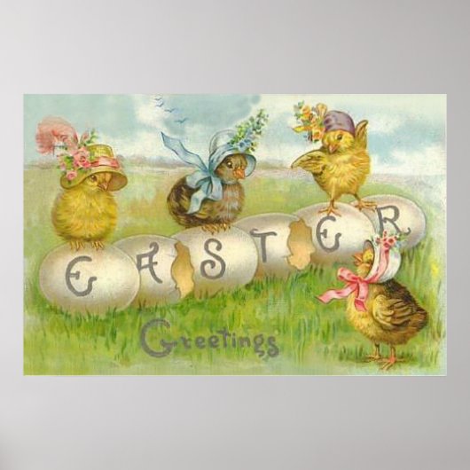 Poster Poussin de Champ de Pâques (Devant)
