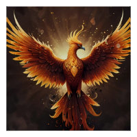 Poussin Phoenix Fierté