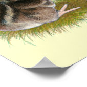 Poster Poussins de caille Coturnix (Coin)