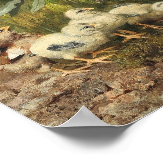 Poster Poussins et papillon | Franz Xaver Birkinger (Coin)