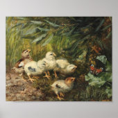 Poster Poussins et papillon | Franz Xaver Birkinger (Devant)