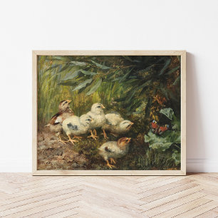 Poster Poussins et papillon   Franz Xaver Birkinger