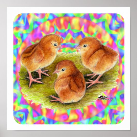 Poster Poussins rouges (Devant)