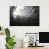 Poster Poutres brouillard et soleil dans la forêt de Wash (Bureau à domicile)