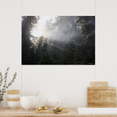 Poster Poutres brouillard et soleil dans la forêt de Wash (Cuisine)