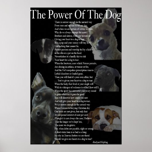 Poster Power of the Dog (grand) (Devant)