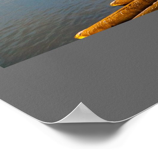 Poster Prague (Coin)