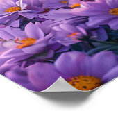 Poster Prairie de fleurs violettes Lac alpin Coucher de s (Coin)