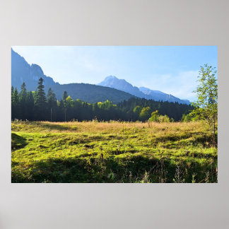 Poster Prairie de montagne verte – Nature sauvage Roumani