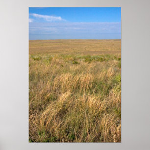 Poster Prairie de prairie à l'est de Sidney, Nebraska.