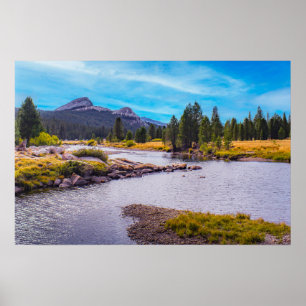 Poster Prairie de Tuolumne et ruisseau de Tuolumne