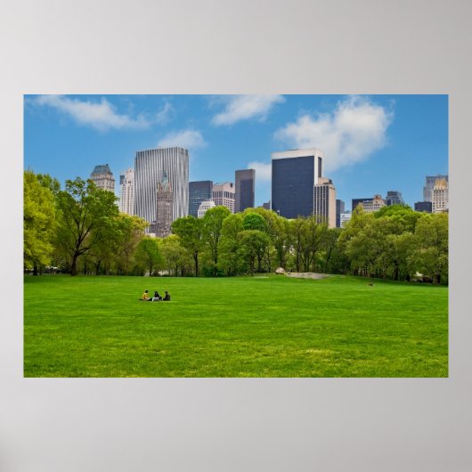 Poster Prairie des moutons de printemps (Devant)