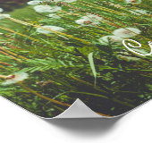 Poster Prairie d'été avec pissenlits (Coin)