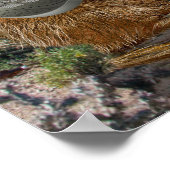 Poster Prairie Dogs Band (Coin)