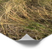 Poster Prairies à l'est de Sidney, Nebraska. (Coin)