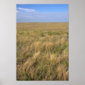 Poster Prairies à l'est de Sidney, Nebraska. (Devant)