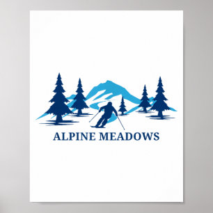 Poster prairies alpines station de ski californie skieur