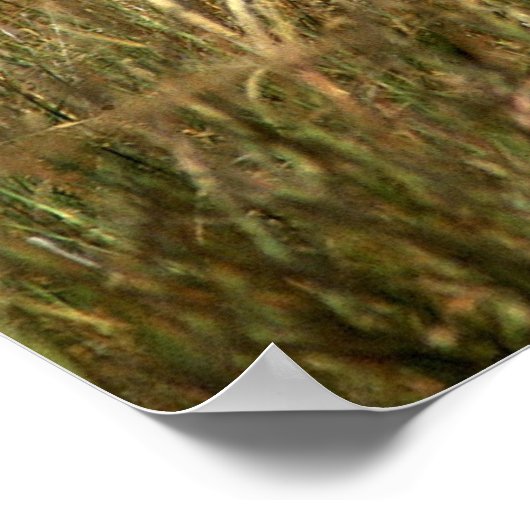 Poster Prairies d'éléphants gris (Coin)