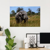 Poster Prairies d'éléphants gris (Bureau à domicile)
