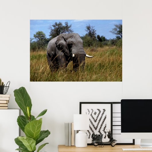 Poster Prairies d'éléphants gris (Bureau à domicile)