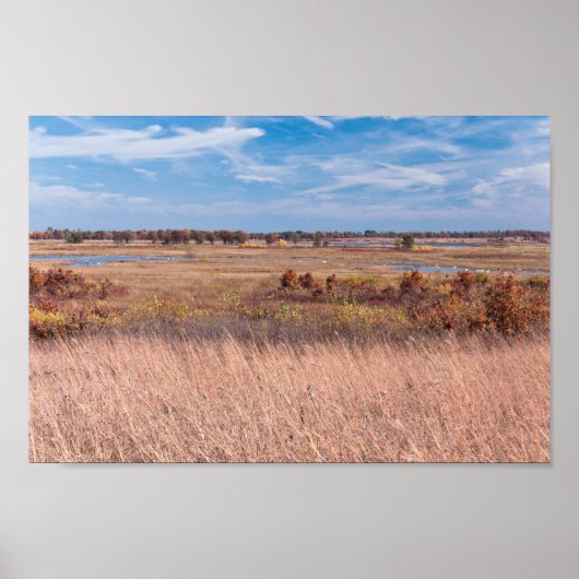 Poster prairies et terres humides à necedah (Devant)