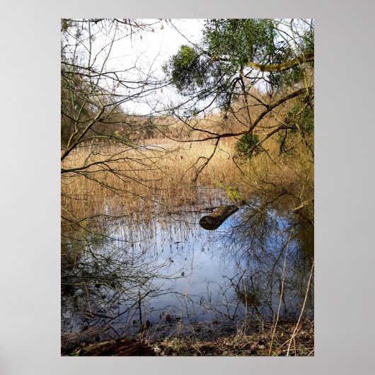 Poster prairies naturelles (Devant)