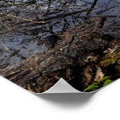 Poster prairies naturelles (Coin)