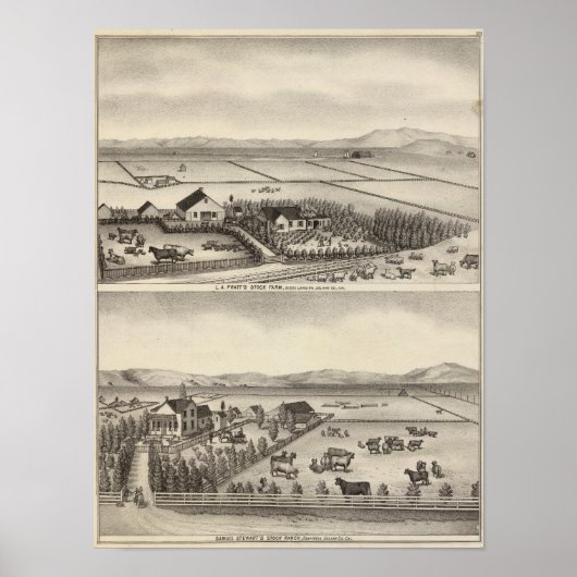 Poster Pratt, Stewart (Devant)