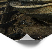 Poster Prayers Fountain Detail Kansas City Plaza (Coin)