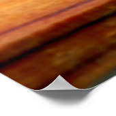 Poster Praying Mantis (Hoek)