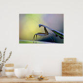 Poster Praying Mantis (Keuken)