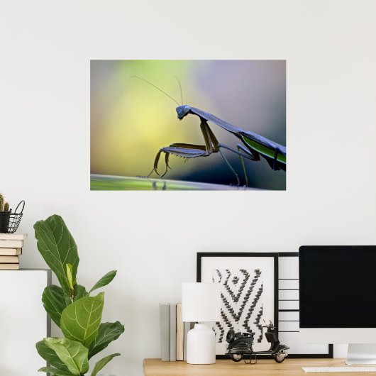 Poster Praying Mantis (Thuiskantoor)