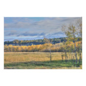 Poster Pré avec Aspens (Devant)