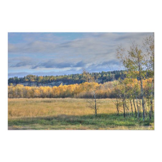 Poster Pré avec Aspens (Devant)