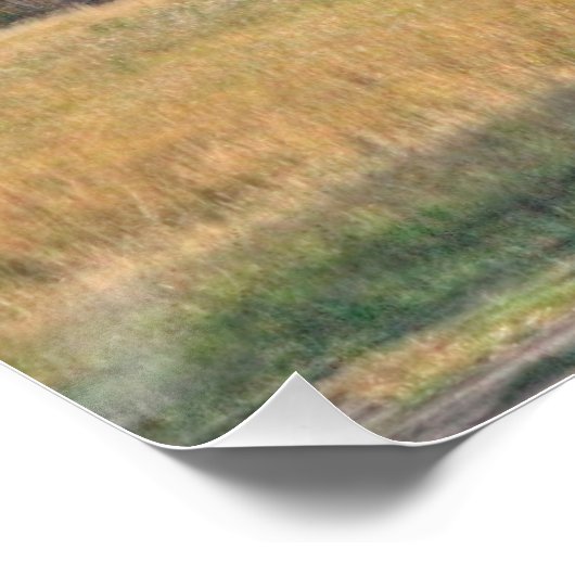 Poster Pré avec Aspens (Coin)