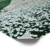Poster Pré de fleurs dans le Nord (Coin)