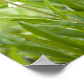 Poster Pré des fleurs sauvages pénètrés dans (Coin)