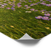 Poster Pré des fleurs sauvages pénètrés dans les 2 (Coin)