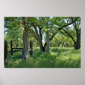 Poster "Pré-printemps" (Devant)