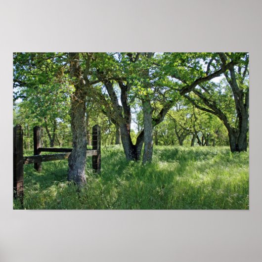 Poster "Pré-printemps" (Devant)